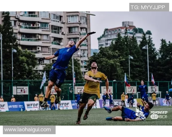 飞盘盛宴：深入重庆飞盘队的训练与比赛节奏探索